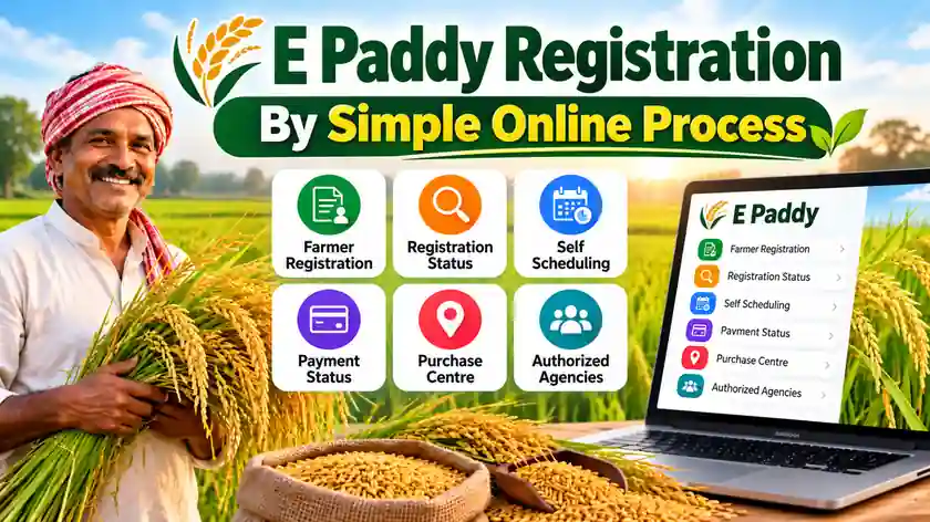 E Paddy